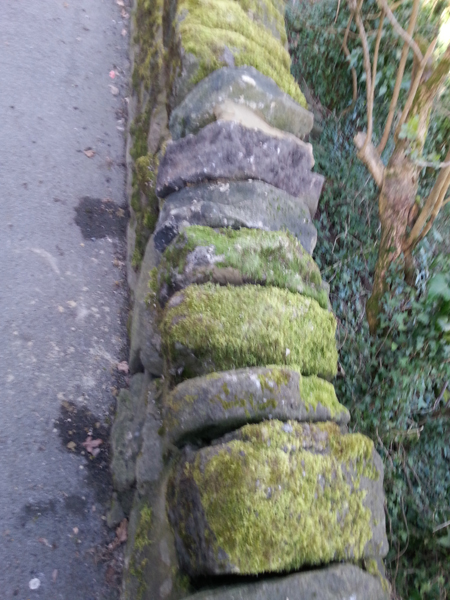 Coping Stones repaired